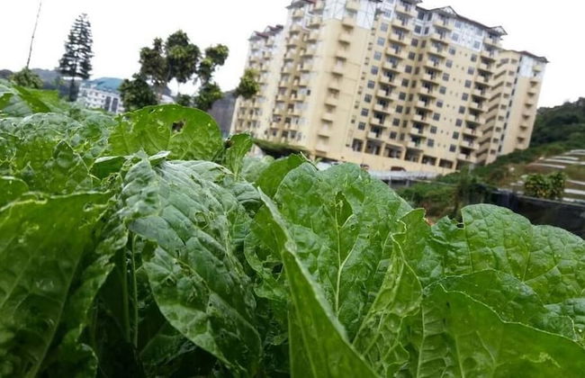 Aaron Apartment at Crown Imperial - Foto 14