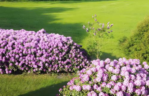 Ferienwohnungen Warnken - Foto 75