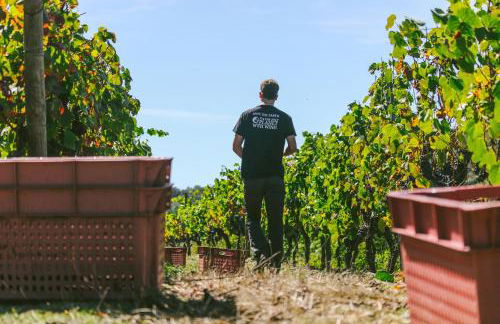 Casa d'Arcã - Foto 60