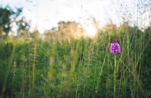 Gîte au calme avec jardin et wifi à Saint-Doulchard - FR-1-586-68 - Foto 20