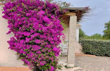 Residence Capraggia - Foto 58