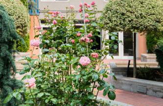 City Water View Oasis with Pool & Gym near Cruise in Heart of Seattle - Foto 43