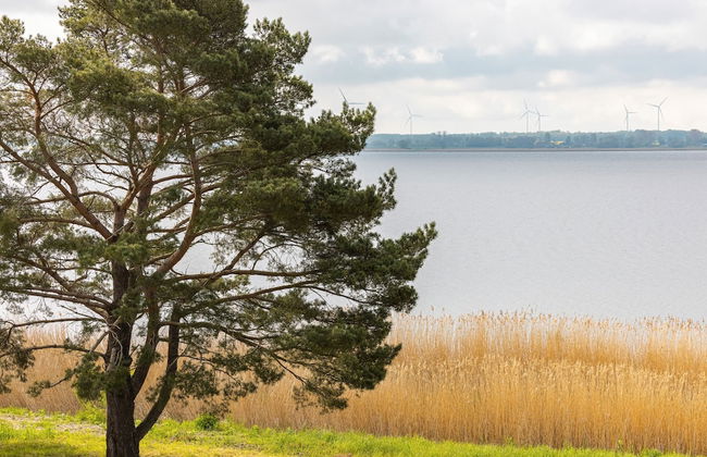 Turquoise Apartment Rogowo by Renters - Photo 30