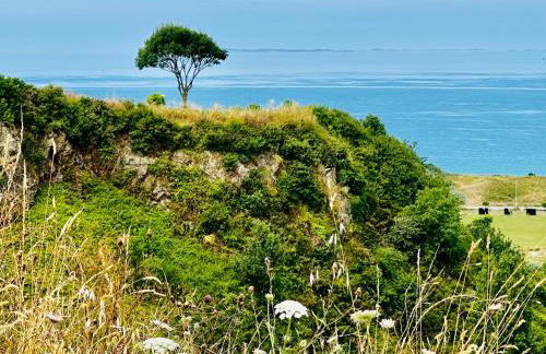 Le Refuge de lAlbatros Vert - Foto 31
