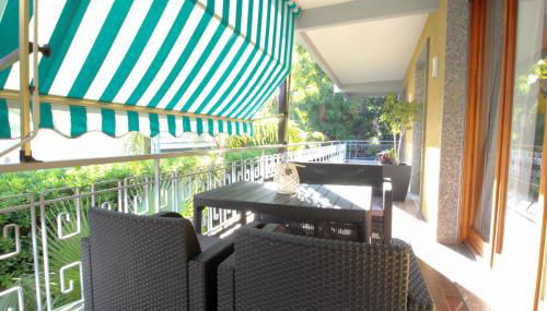 Parrots & Palms - Photo 5