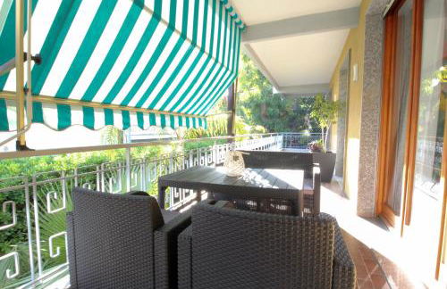 Parrots & Palms - Photo 5