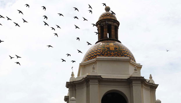 Tour privado por San Diego - Foto 3