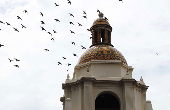 San Diego Private Tour - Foto 3