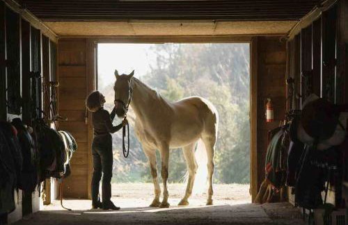Casa Hydrangea con piscina e giardino - Foto 71