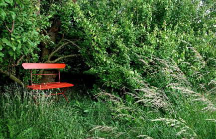 Ferienwohnung Butterbirne - Photo 17