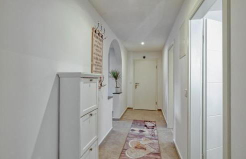 Seepferdchen - Foto 17