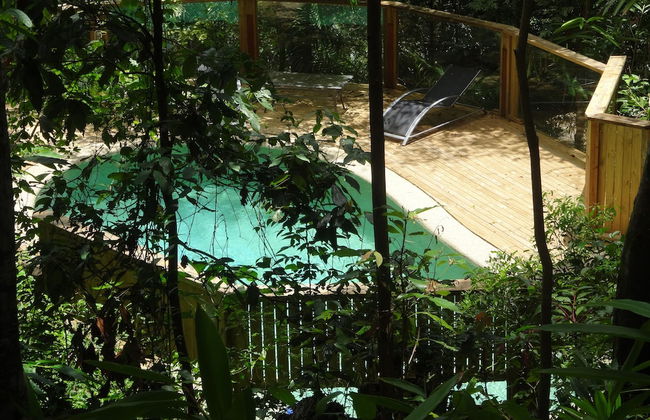 Treetops Accommodation Montville - Foto 60