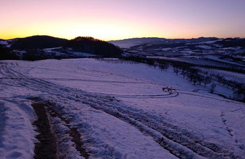 Domek Gruszkowy Wzorek - Foto 19