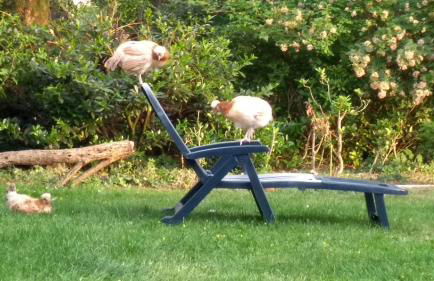 Eurode grenzenlos - Drei Länder in greifbarer Nähe - Foto 45