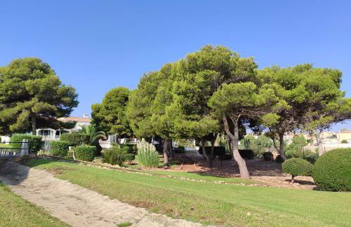 Gran Vista - Photo 20