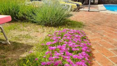 Villa-Johanna - Foto 2