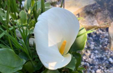 La Forge, Lieu des Chevilloux - Foto 56