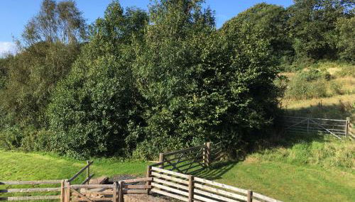 Ty Glo Cottage - Foto 5