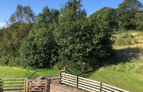 Ty Glo Cottage - Photo 5