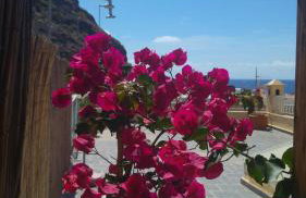 Apartamentos Martell - Foto 6