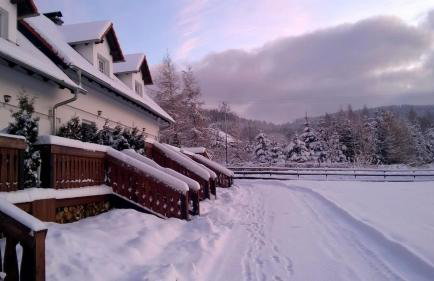 Wysokie Łąki domki w górach - Foto 45