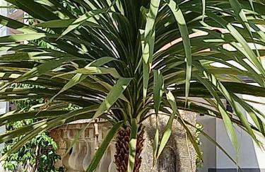 Apartments Raos - Photo 24