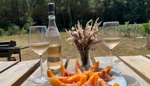 Evasion Côtière Tranquillité entre Forêt et Océan - Foto 5, Garden view