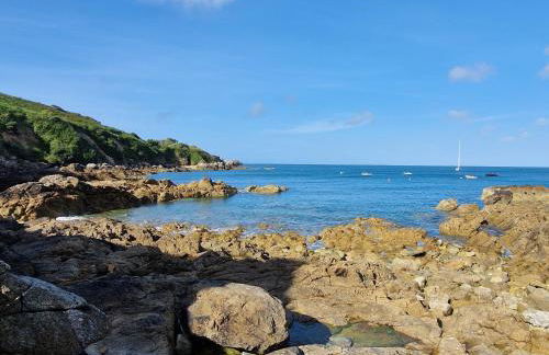 Les chats pitres Maison au calme rénovée avec jardin, terrasse aménagée, transats, abri à vélo, parking gratuit, 5 mn à pied du centre Bayeux proche des plages du débarquement - Photo 42