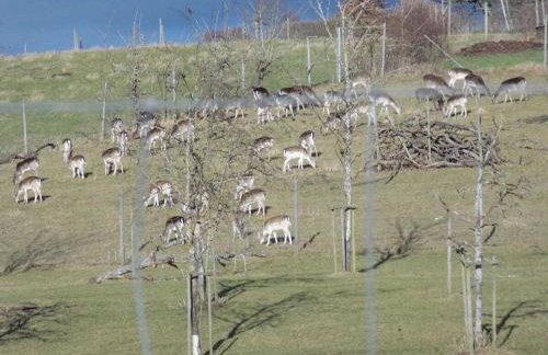 Holiday apartment in Salem with swimming pool - Foto 28