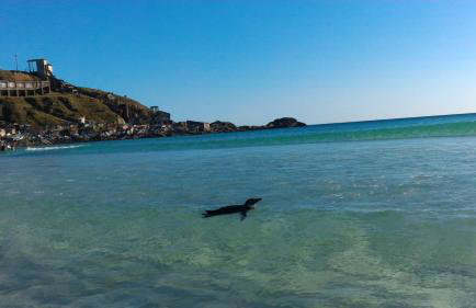 Casa Arraial do Cabo - Foto 9