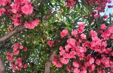 Villetta Rosetta - Foto 16