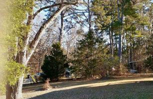 Nice and Cozy - Foto 22