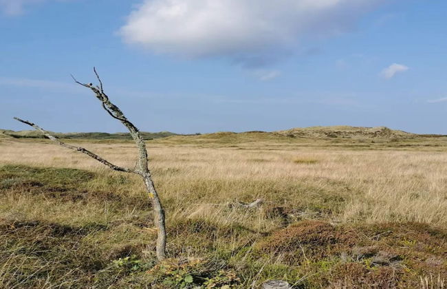 6 Person Holiday Home in Henne-by Traum - Foto 17