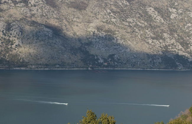 Step to Kotor bay Stoliv - Photo 80