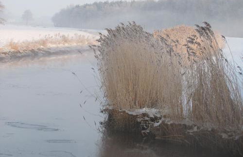 Ferienwohnung Schaa, 85105 - Foto 7