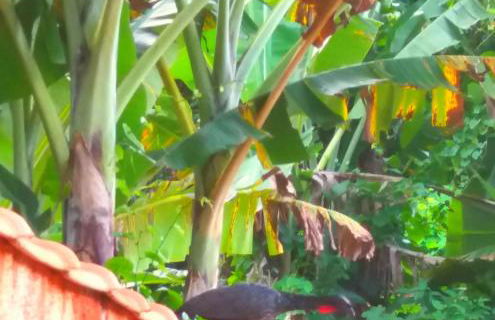 Lepá com Cozinha privativa - Foto 17