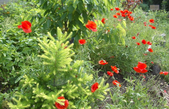 Roomantic Apartments - Photo 48