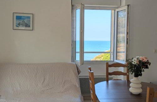 Appart vue mer-au pied du chemin de randonnée " Bassan" - Foto 7