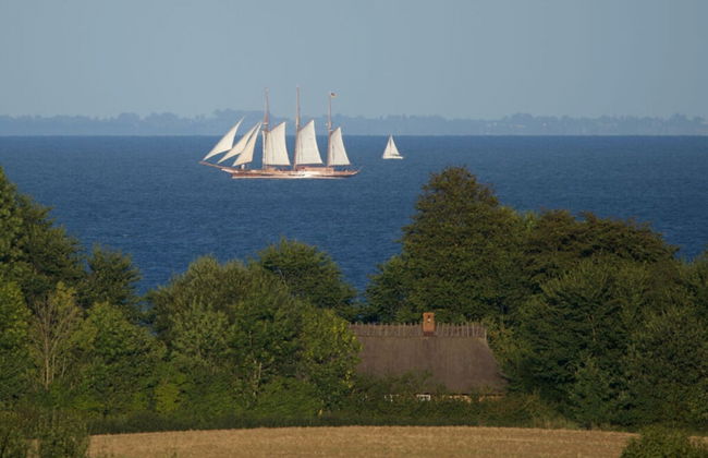 Sea View Modern Retreat - Photo 11