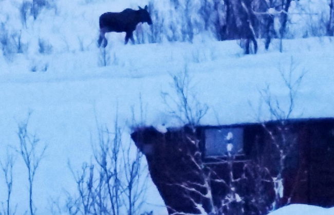 5 Person Holiday Home in Straumsbukta-by Traum - Foto 30