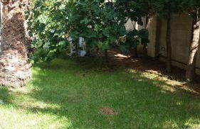 Michelle House - Foto 37