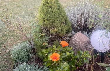 Stilvolle 90qm Wohnung mit Wintergarten - Photo 12