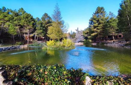 Chalet lujo en finca Zafiro lagunazo Riopar 5 o 3 dormitorios y 3 Baños Parque Natural del Rio Mundo - Foto 10