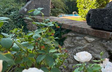 Casale Dolci Dimore - Foto 10