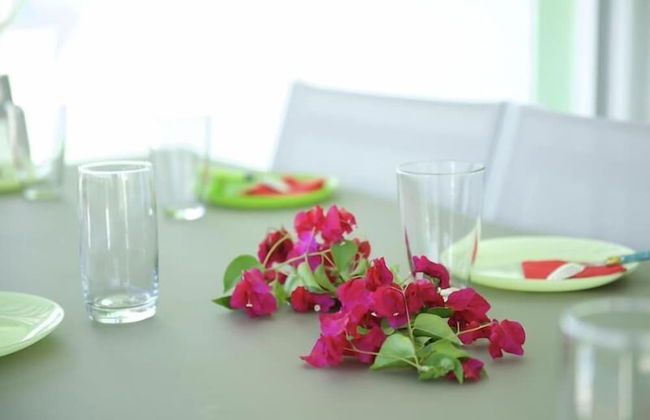 Village de la princesse - Photo 13