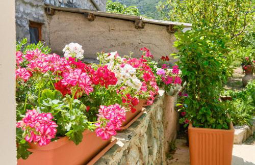 Apartment Kaleta - Foto 30