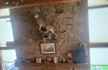 Fireball's Lodge - Foto 9