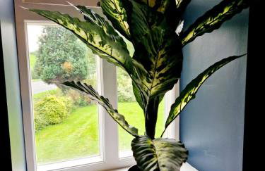 Hamilton-The Alexander suite luxury holiday Let's - Foto 52