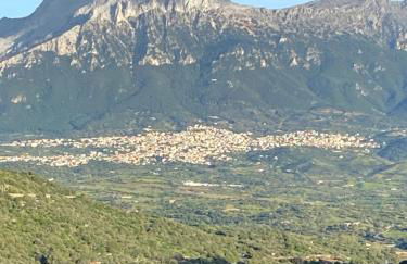 Casa Corofulu Oliena - IUN P2139 - Foto 1