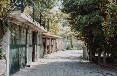 Quinta Do Padrao - Foto 45